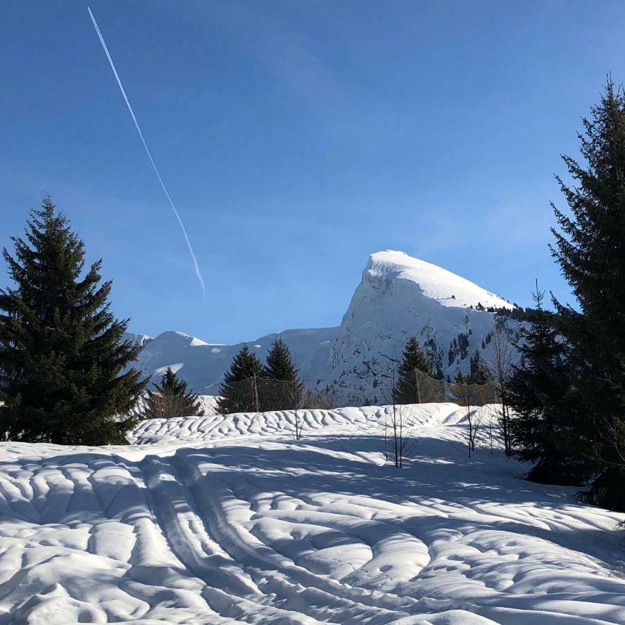 Le Biot L'Ours Blanc Lodge מראה חיצוני תמונה